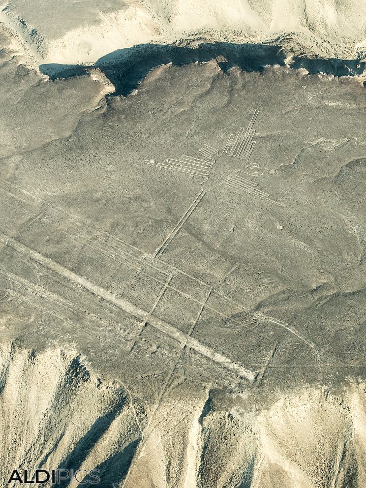 Figures of Nazca