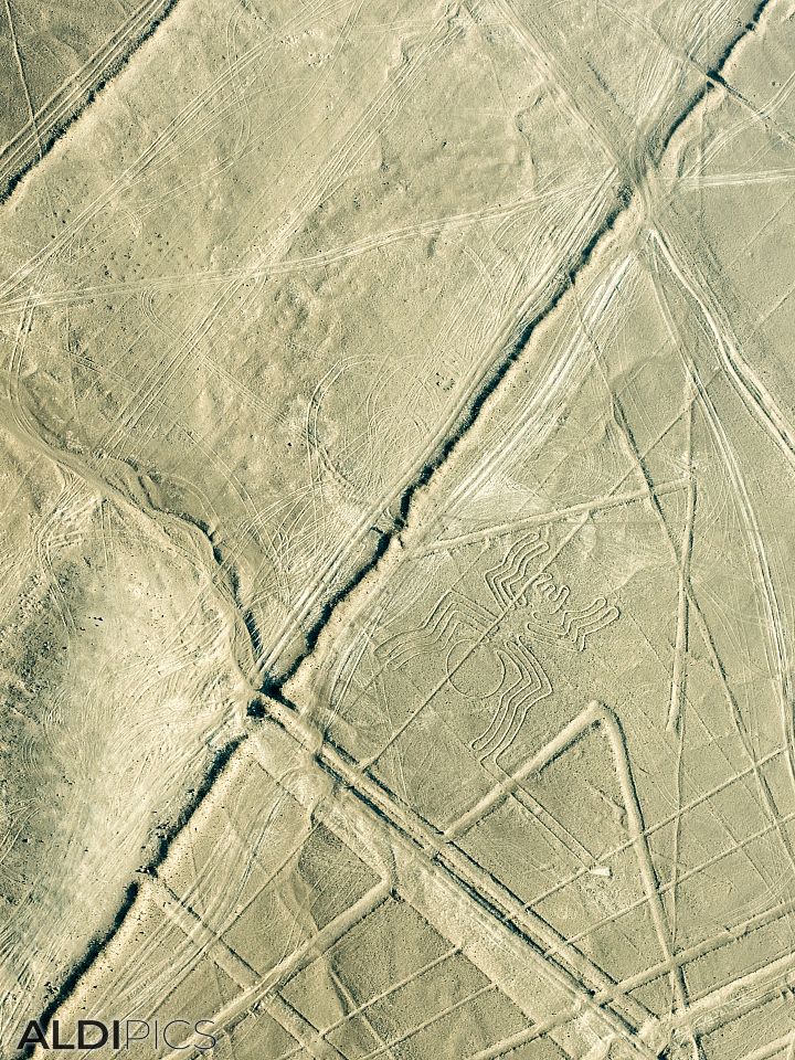 Figures of Nazca