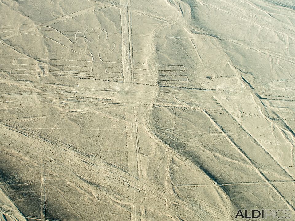 Figures of Nazca