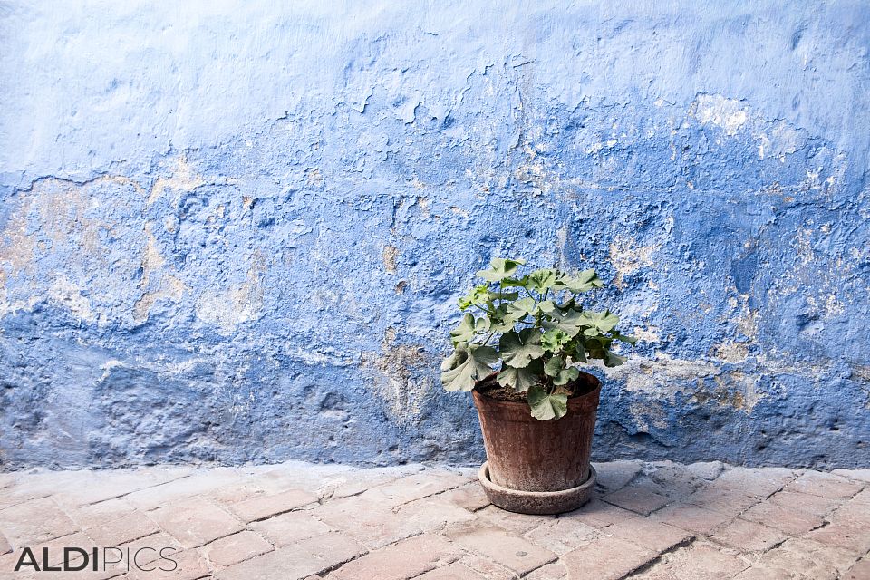 Santa Catalina monastery complex