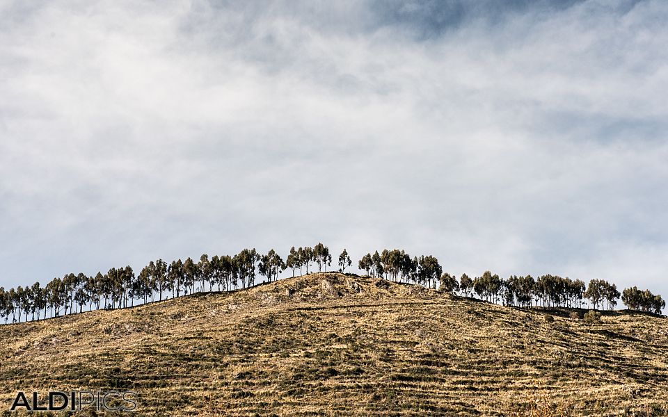 Coast of Lake Titicaca