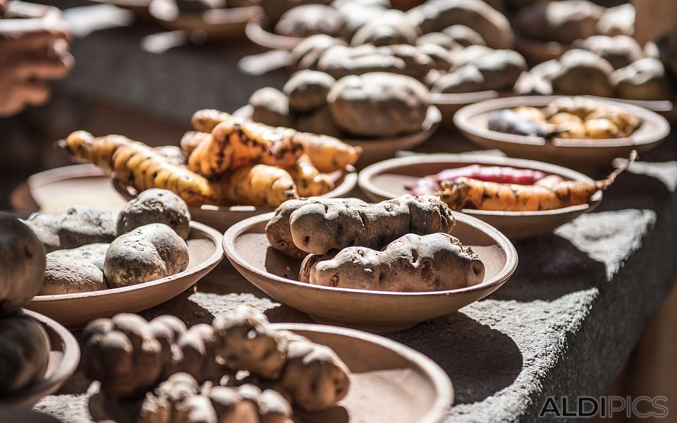 Various types of potatoes grown by the Incas