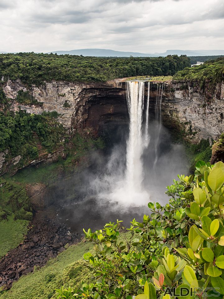 Kaieteur Falls