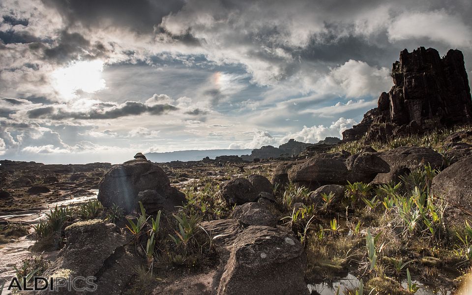 Roraima - the strangest mountain