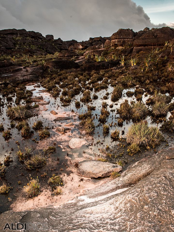 Roraima - the strangest mountain