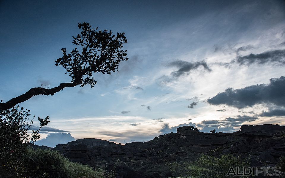 Roraima - the strangest mountain