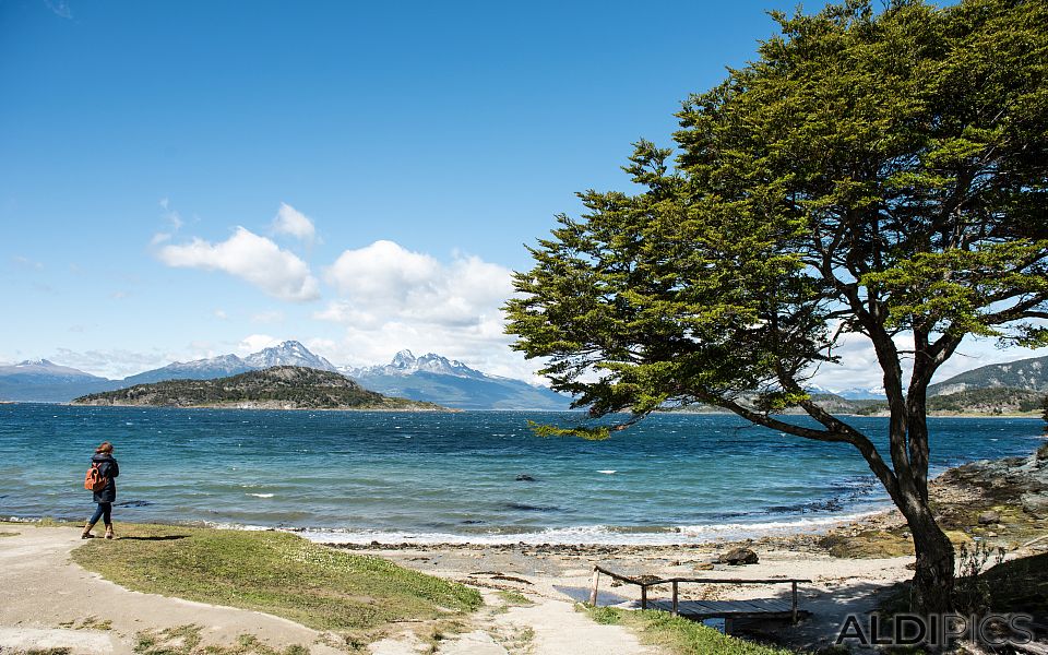 Parque Nacional Tierra del Fuego