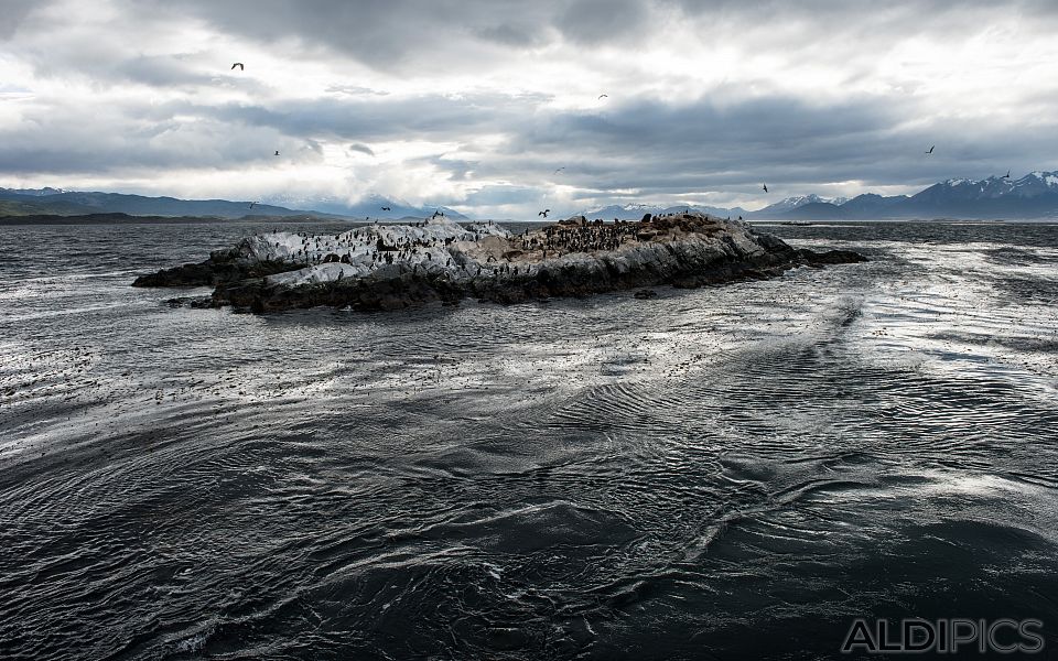 The coast of Ushuaia