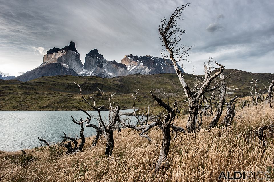 Lago Pehoe