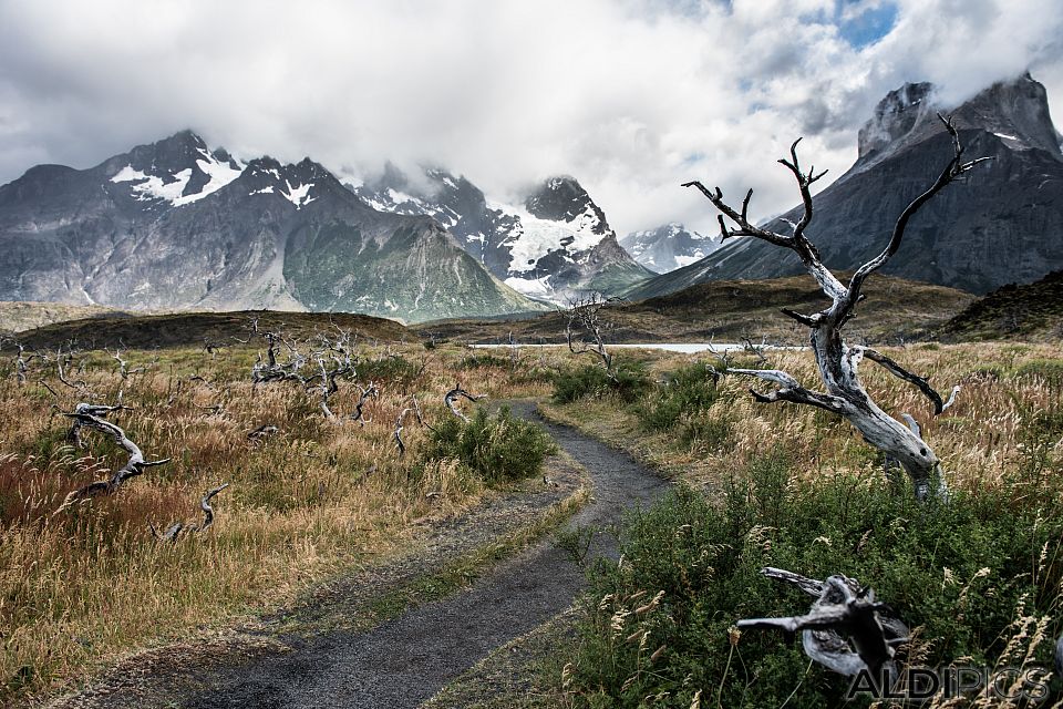 Парка Torres Del Paine