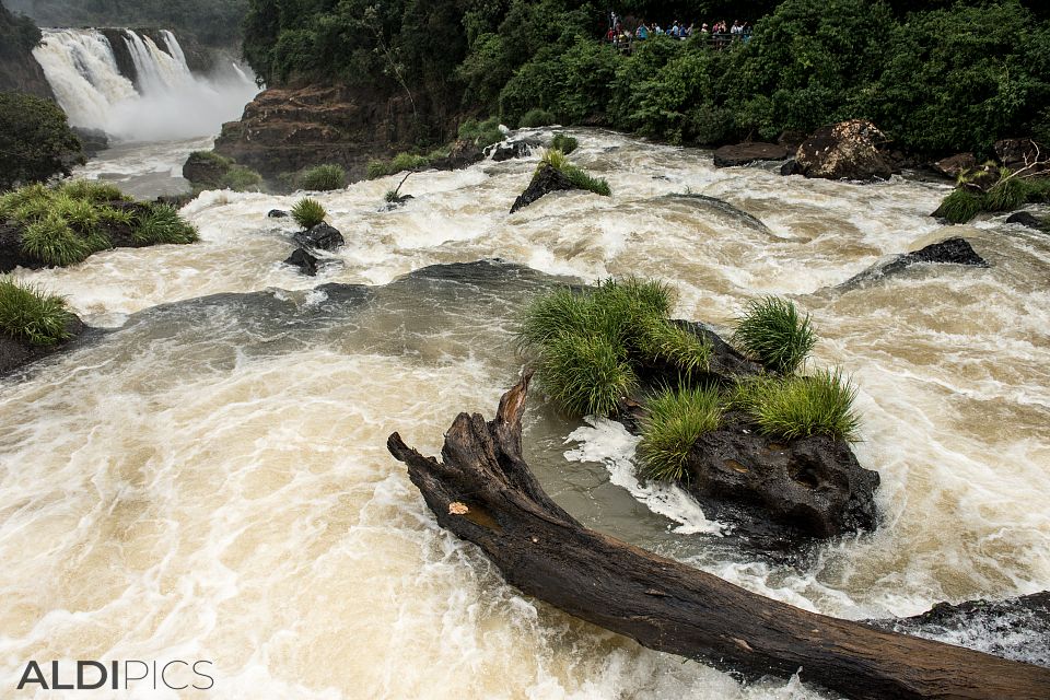 Iguazu