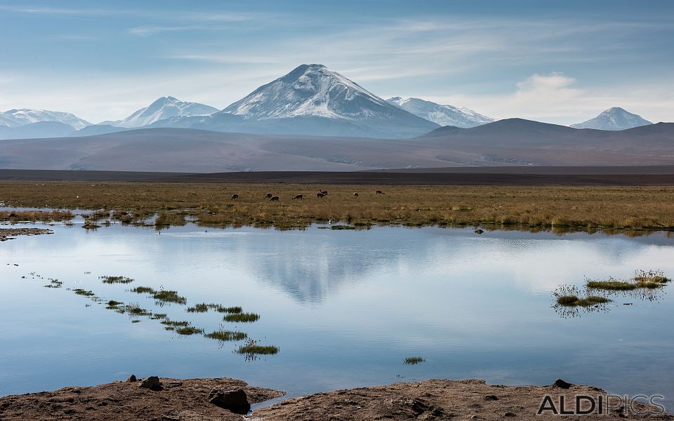 Пейзажи от Атакама