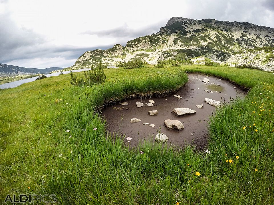 Near the Popovo lake