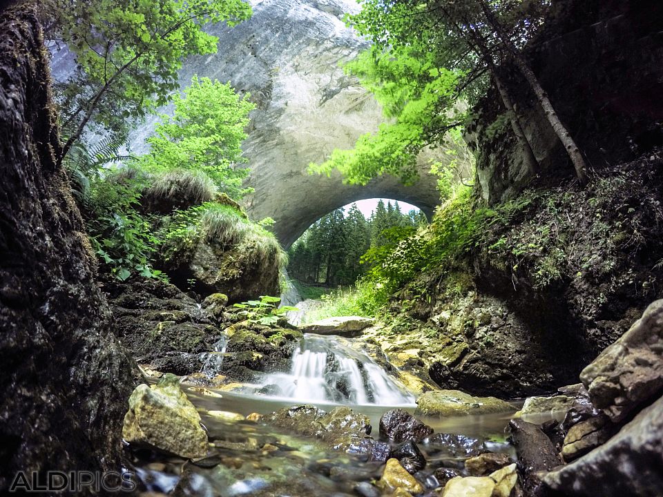 Wonderful Bridges