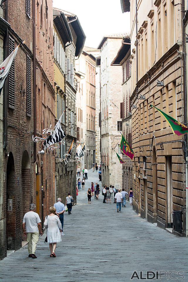 Siena