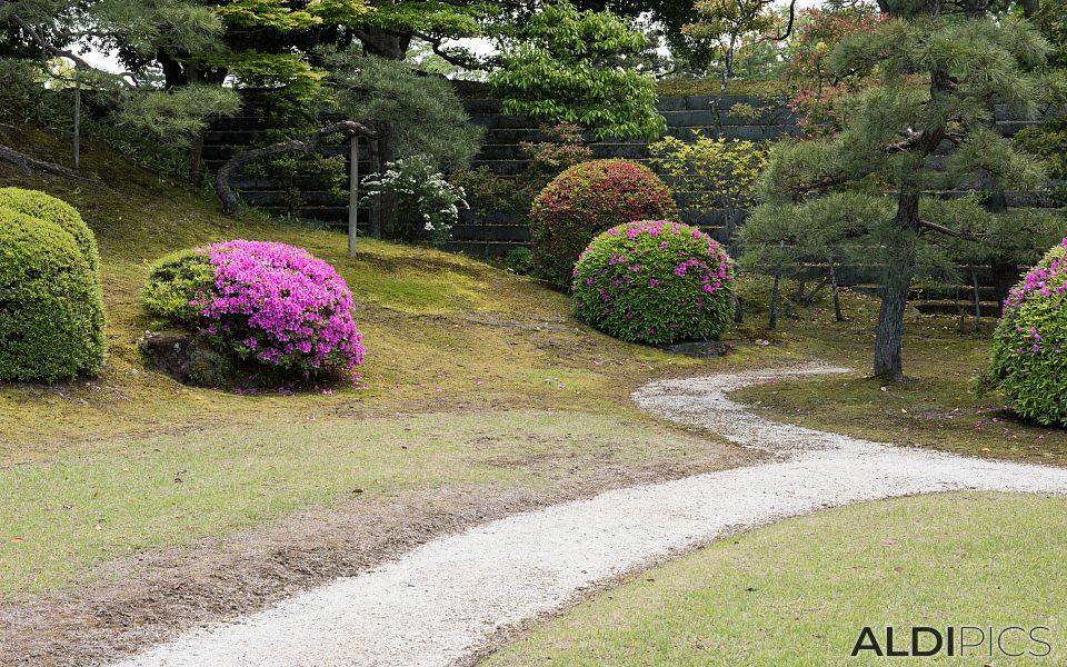 Imperial Palace