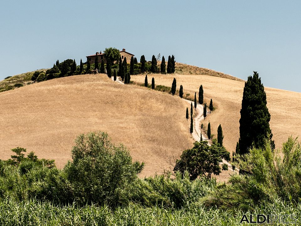 Tuscan landscape