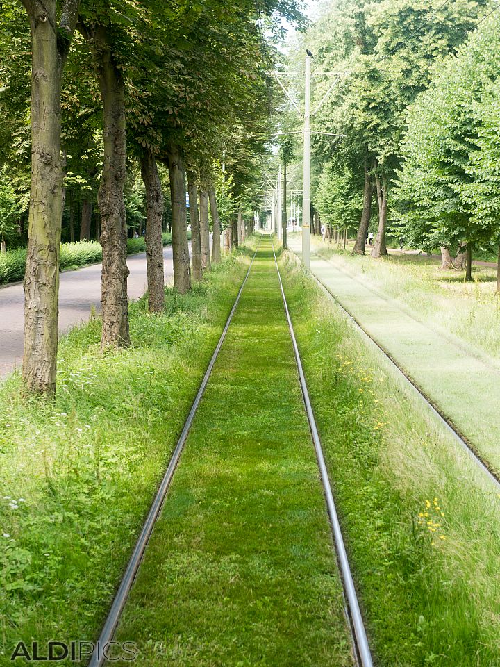 Tram road