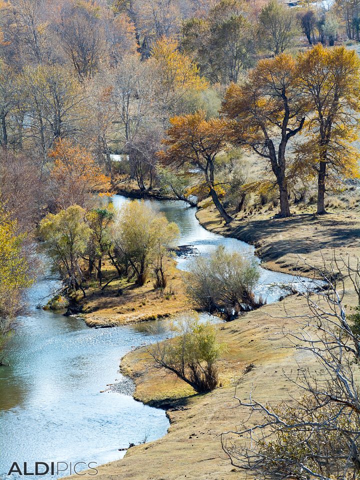 Оазис край реката