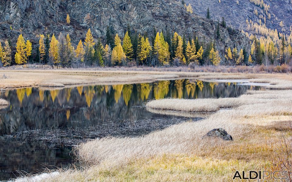 Autumn in Altai