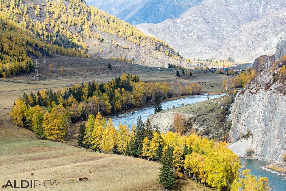 Autumn in Altai