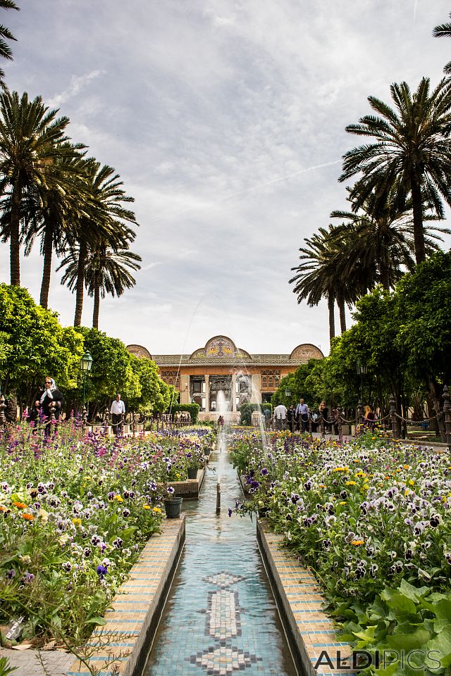 Shiraz Orange Garden