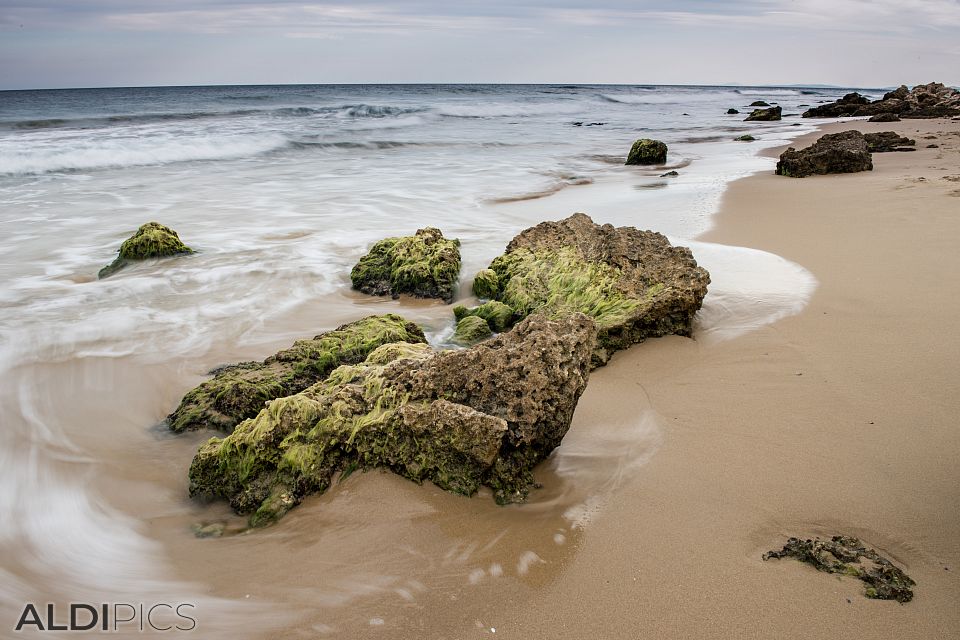 Seascapes near Nessebar