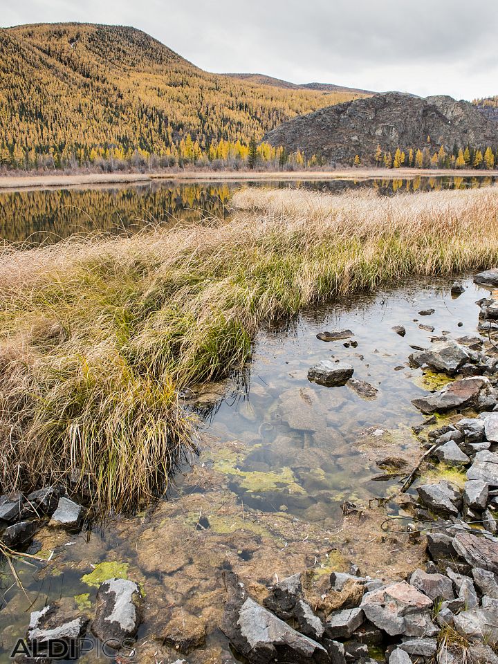 Autumn in Altai