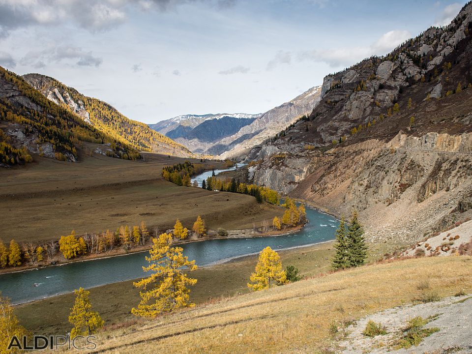 Autumn in Altai