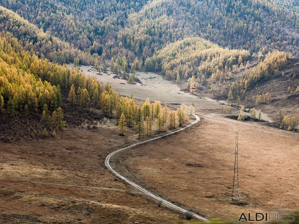 Autumn in Altai