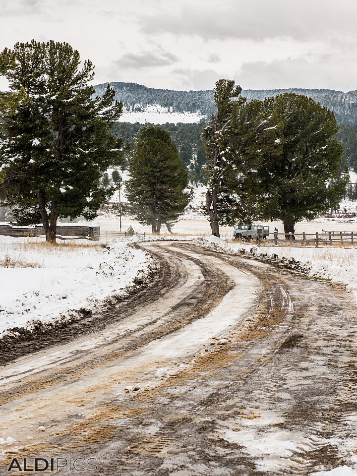 Snow path