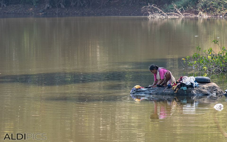 Laundry in the pond