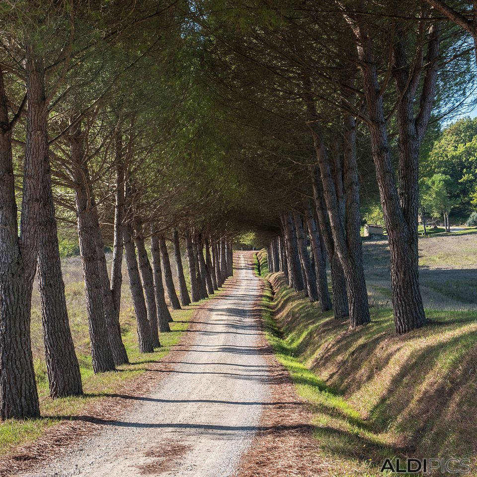 Tuscany