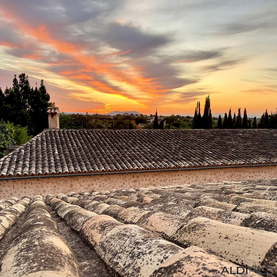 Sunset over the rooftops
