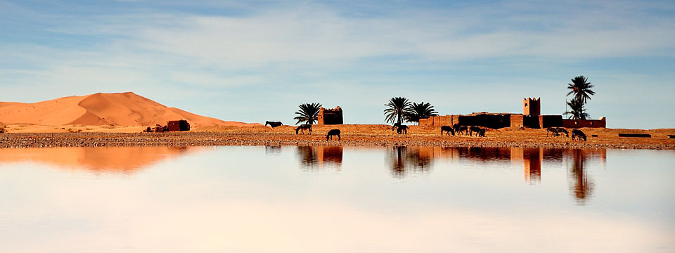 Oasis in Sahara