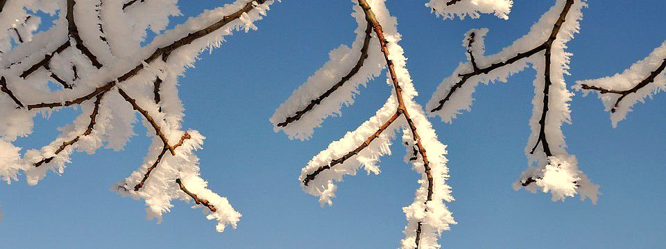 Winter landscapes from Rhodope